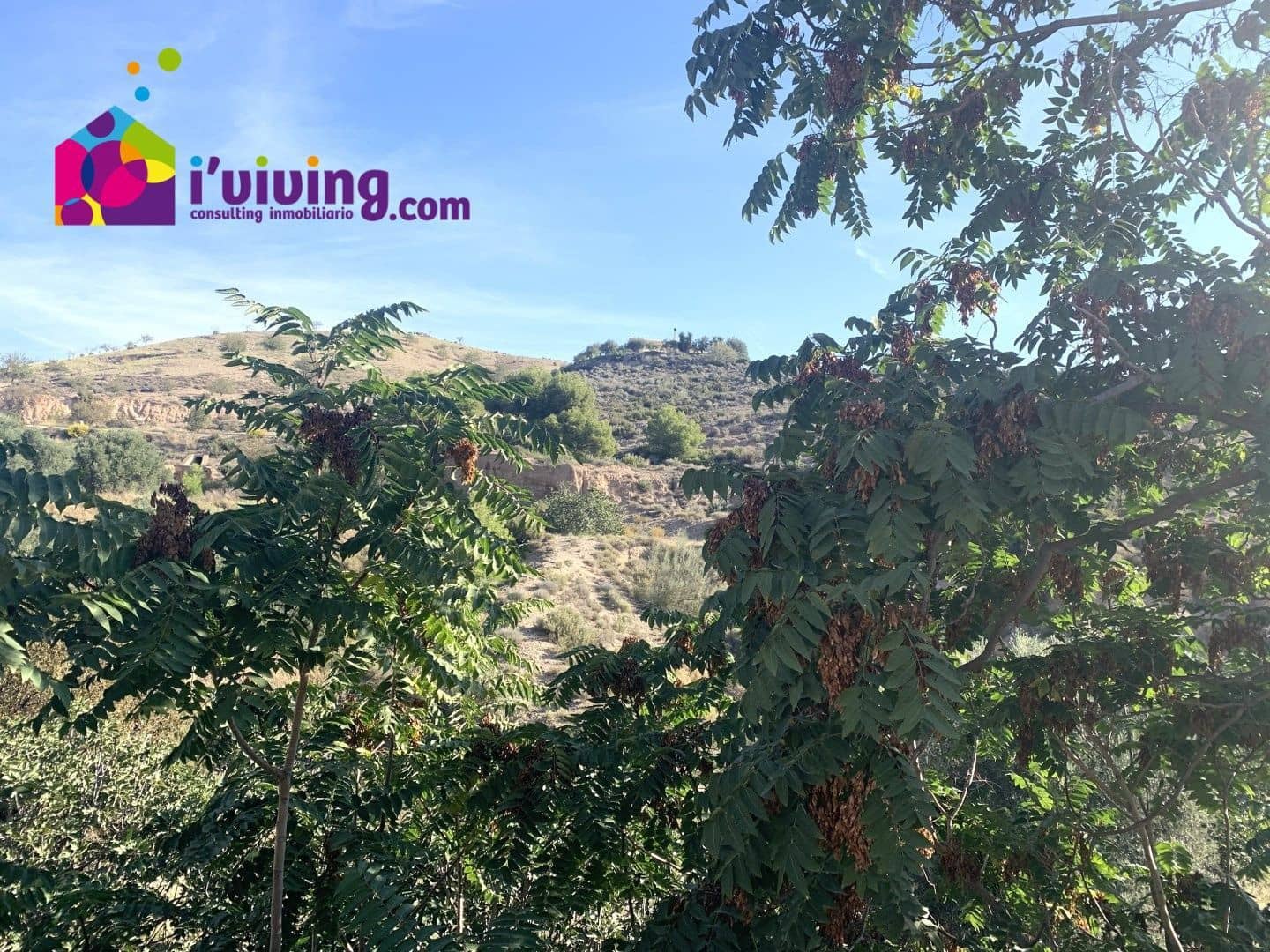 Grunde uden byggetilladelser til salg i Oria - € 140.000 (Ref: 7847892)