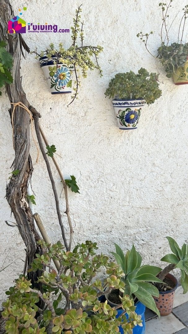 2 bedroom Finca/Country House for rent in Cantoria - € 500 (Ref: 8361980)