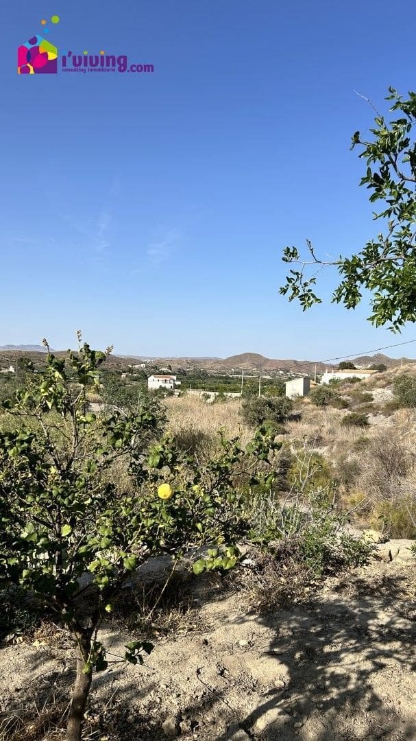 2 bedroom Finca/Country House for rent in Cantoria - € 500 (Ref: 8361980)