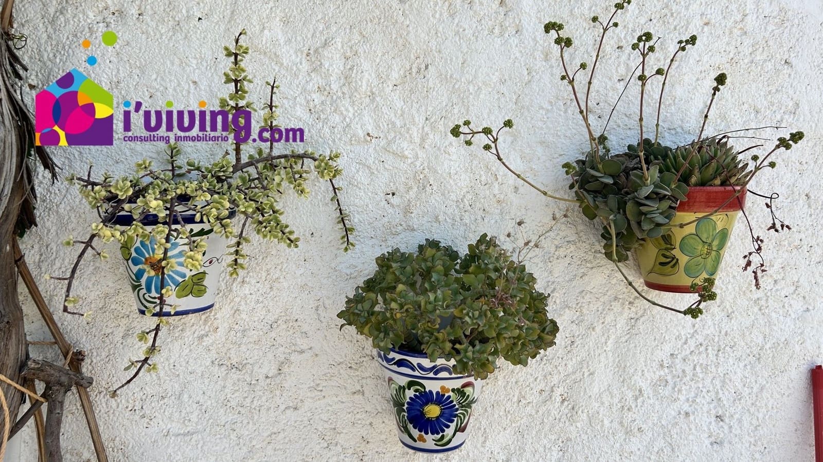 2 bedroom Finca/Country House for rent in Cantoria - € 500 (Ref: 8361980)