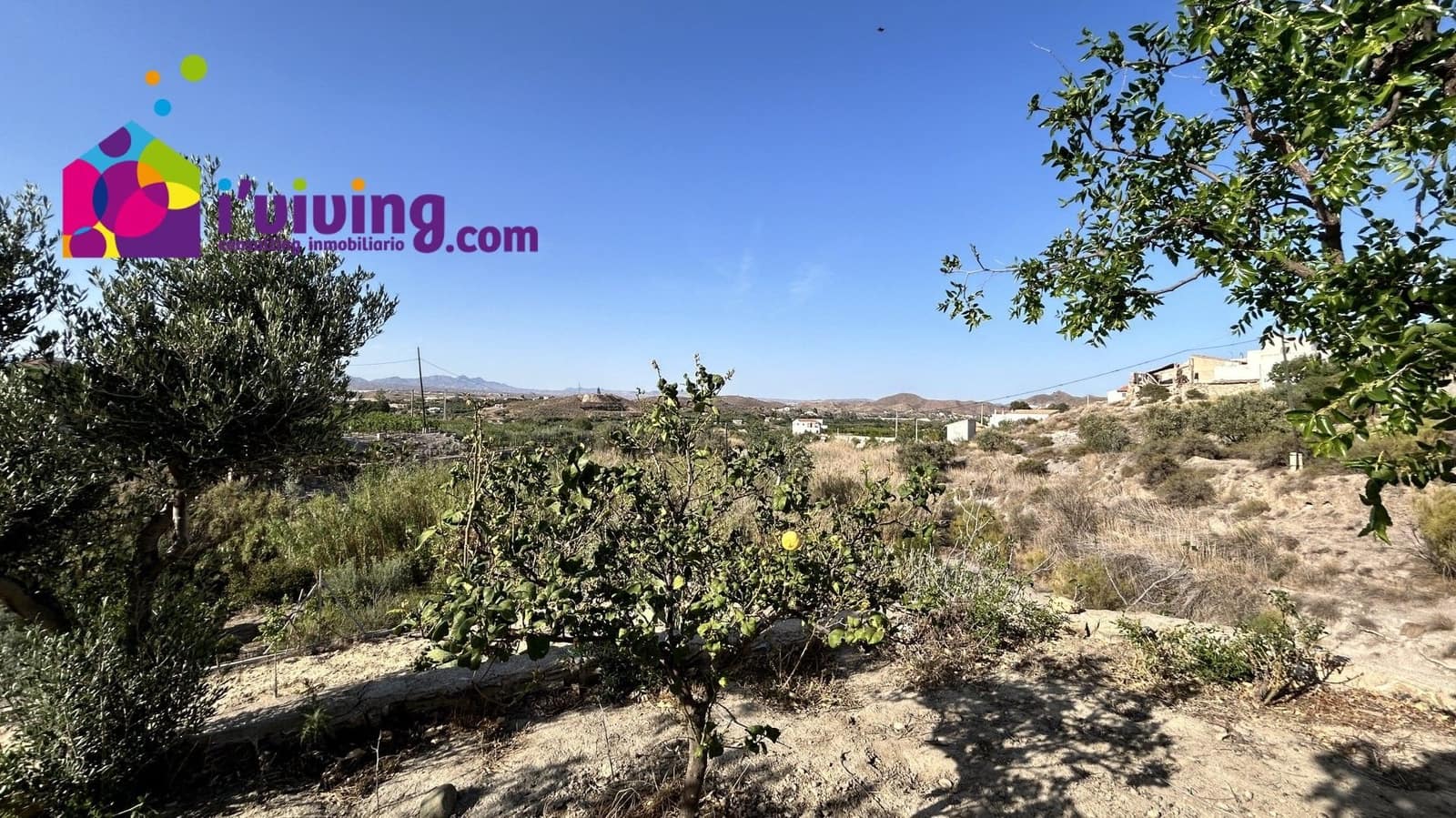 2 bedroom Finca/Country House for rent in Cantoria - € 500 (Ref: 8361980)