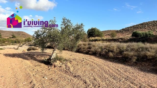 Rakentamaton maa myytävänä paikassa Albox - 194 000 € (Ref: 8572041)