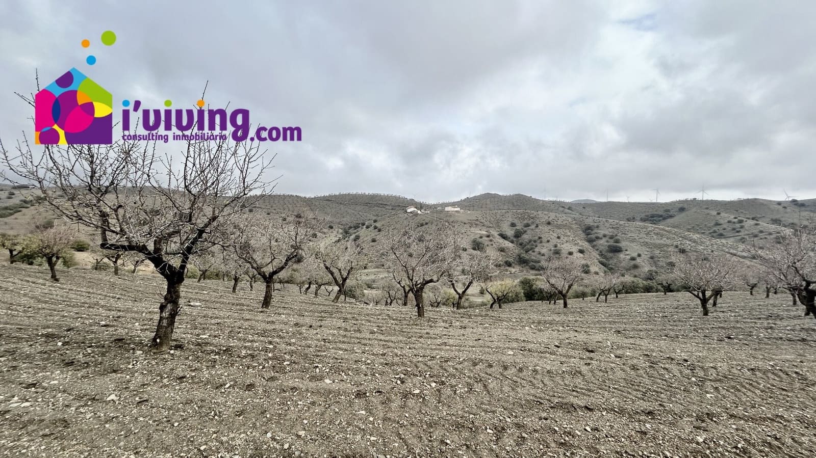 Finca/Hus på landet till salu i Velez-Rubio - 45 000 € (Ref: 8653598)