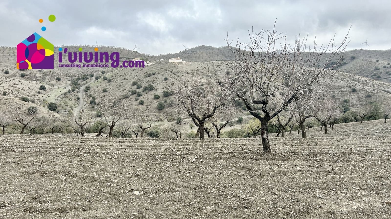 Finca/Hus på landet till salu i Velez-Rubio - 45 000 € (Ref: 8653598)