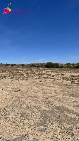 Local Comercial en Cantoria en alquiler - 1.200 € (Ref: 8830163)