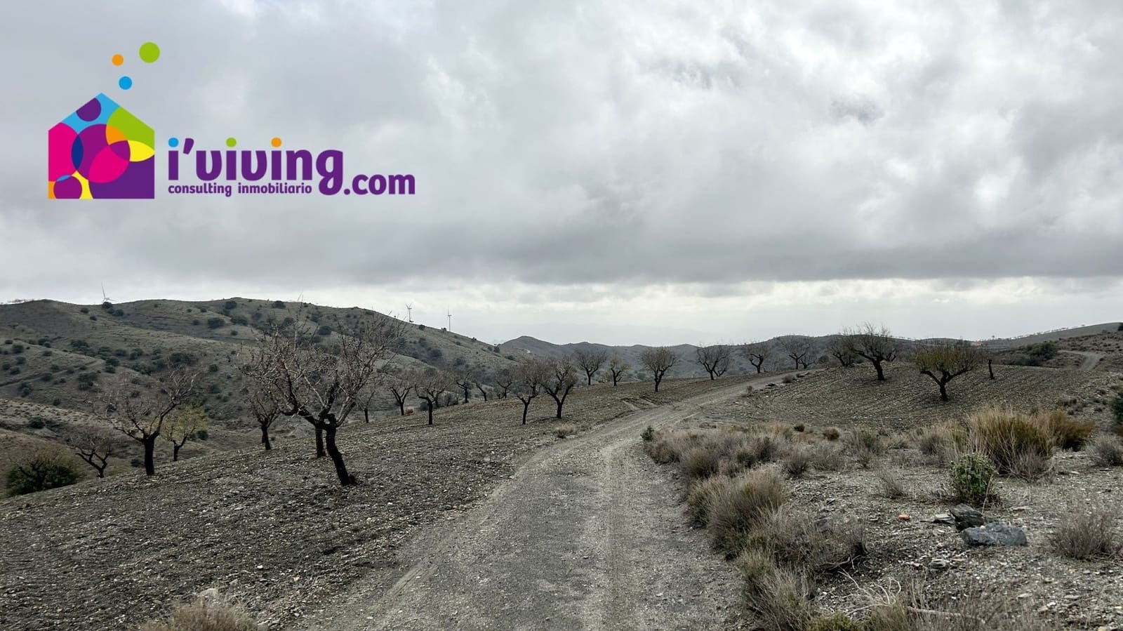 Grunde uden byggetilladelser til salg i Velez-Rubio - € 45.000 (Ref: 9500543)