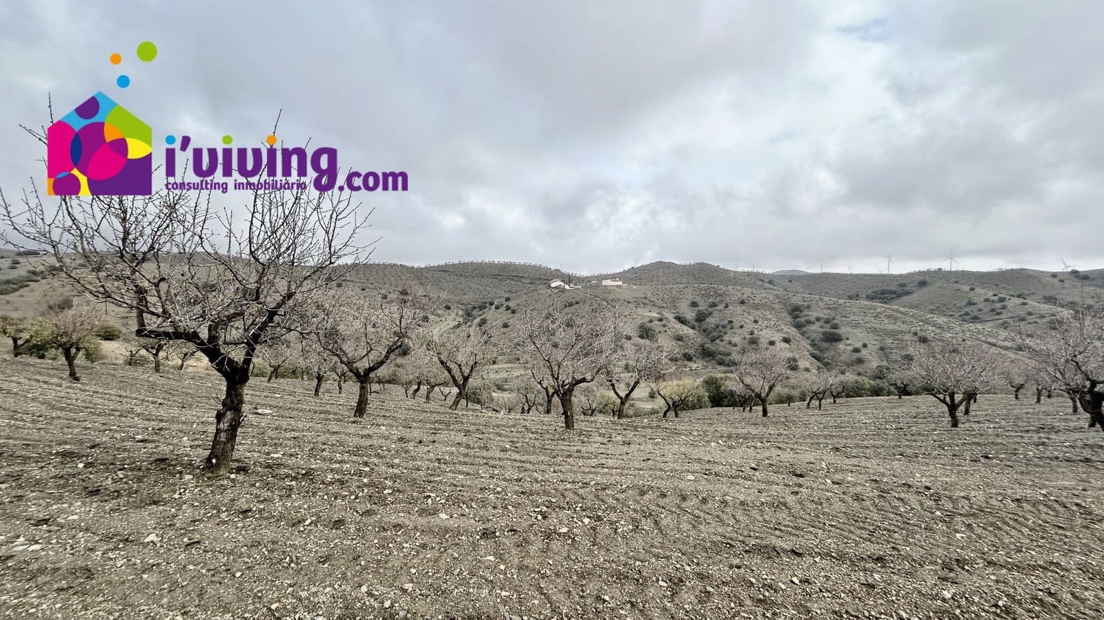 Grunde uden byggetilladelser til salg i Velez-Rubio - € 45.000 (Ref: 9500543)