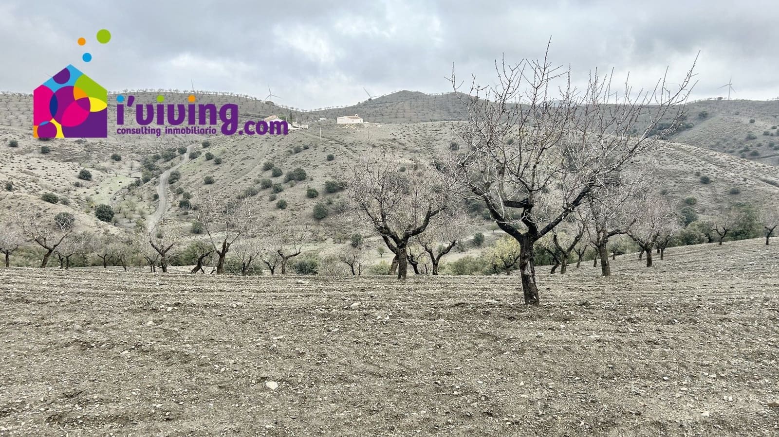 Grunde uden byggetilladelser til salg i Velez-Rubio - € 45.000 (Ref: 9500543)