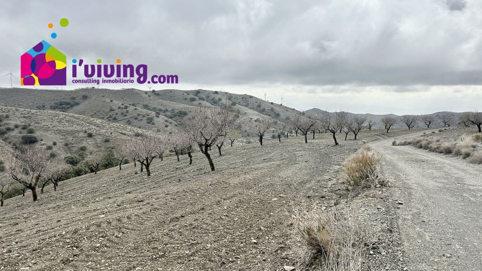 Grunde uden byggetilladelser til salg i Velez-Rubio - € 45.000 (Ref: 9500543)