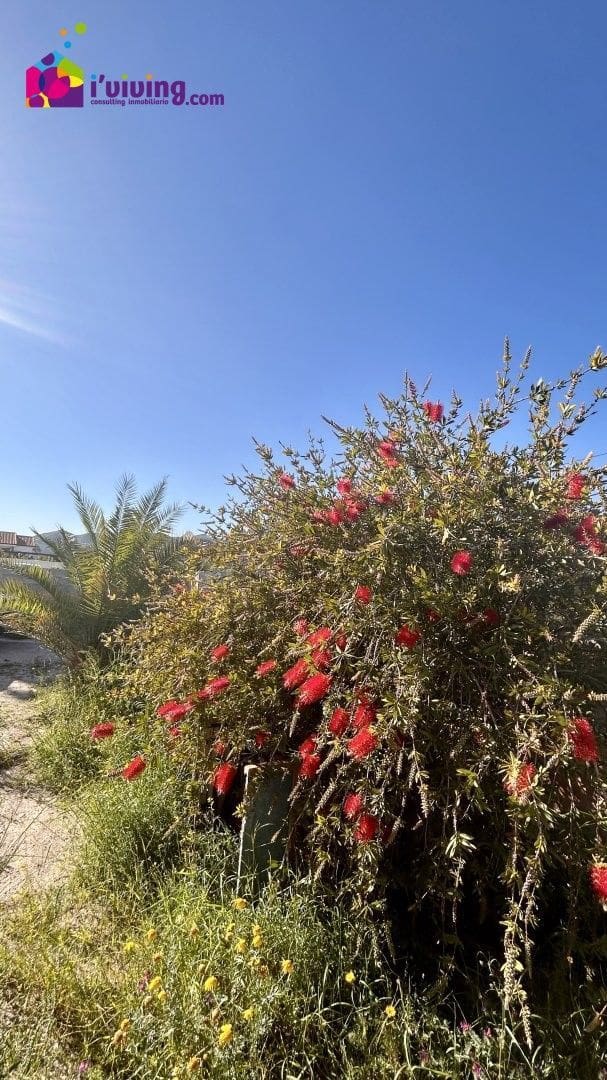 4 bedroom Villa for sale in Almanzora - € 159,900 (Ref: 9500545)