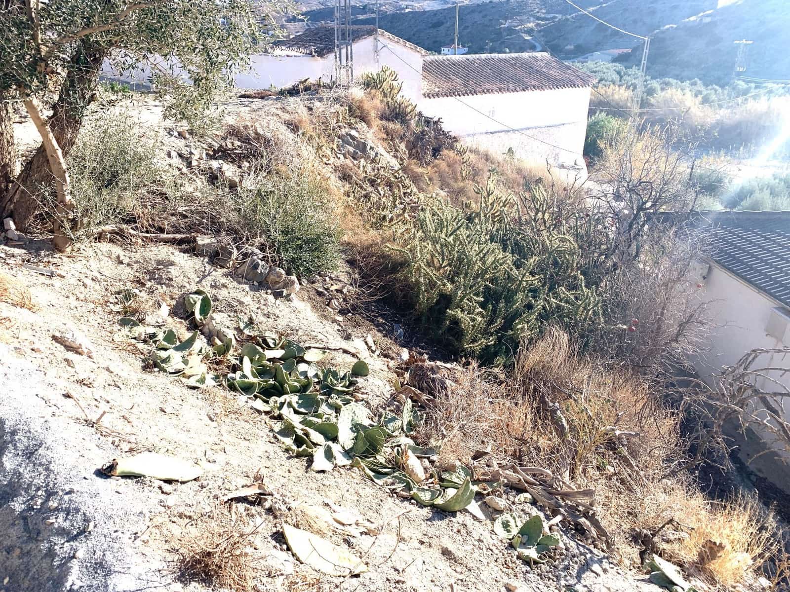 4 bedroom Finca/Country House for sale in Oria - € 35,000 (Ref: 9500547)