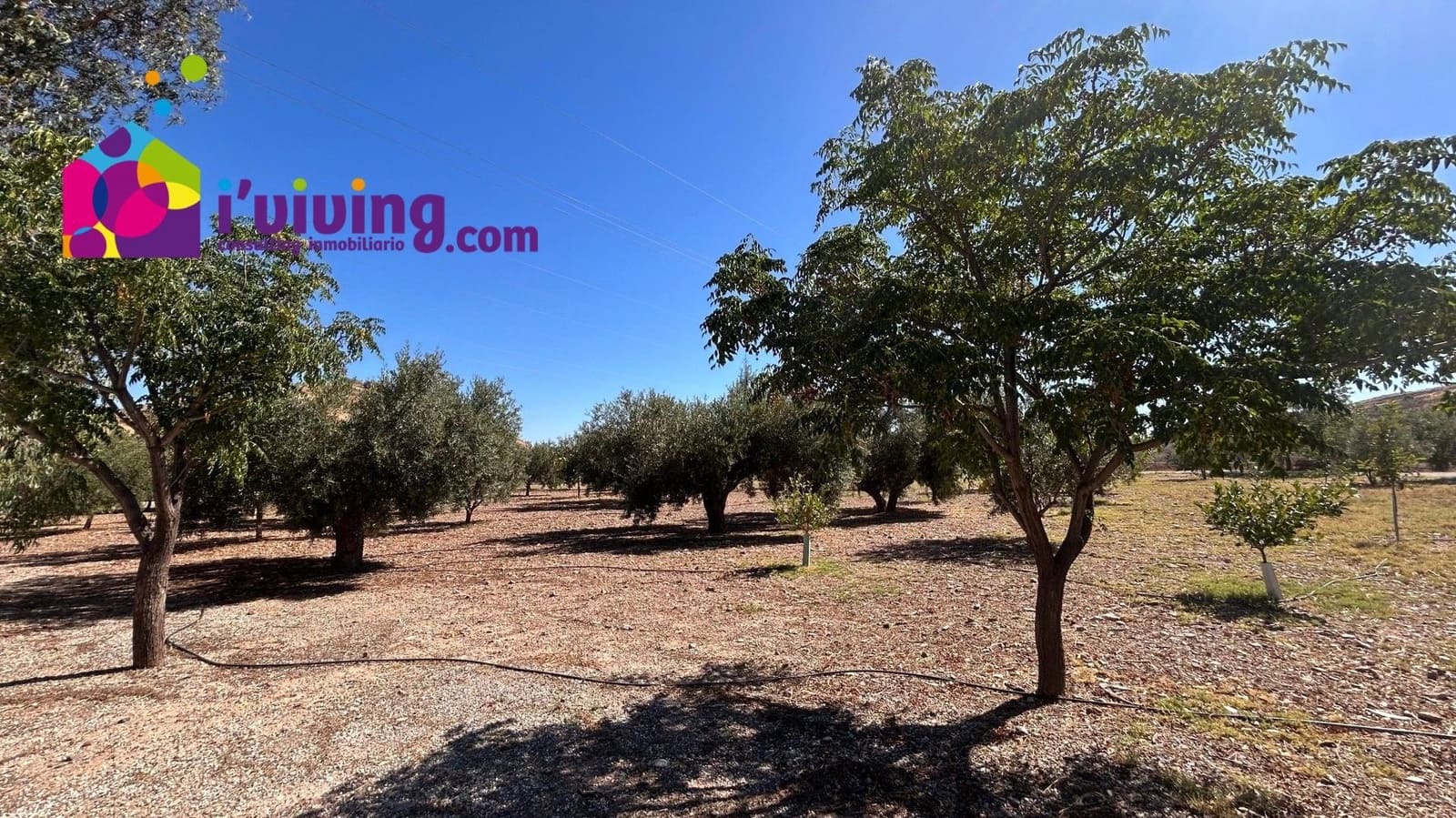 Chalet de 3 habitaciones en Albox en venta - 230.000 € (Ref: 9500549)