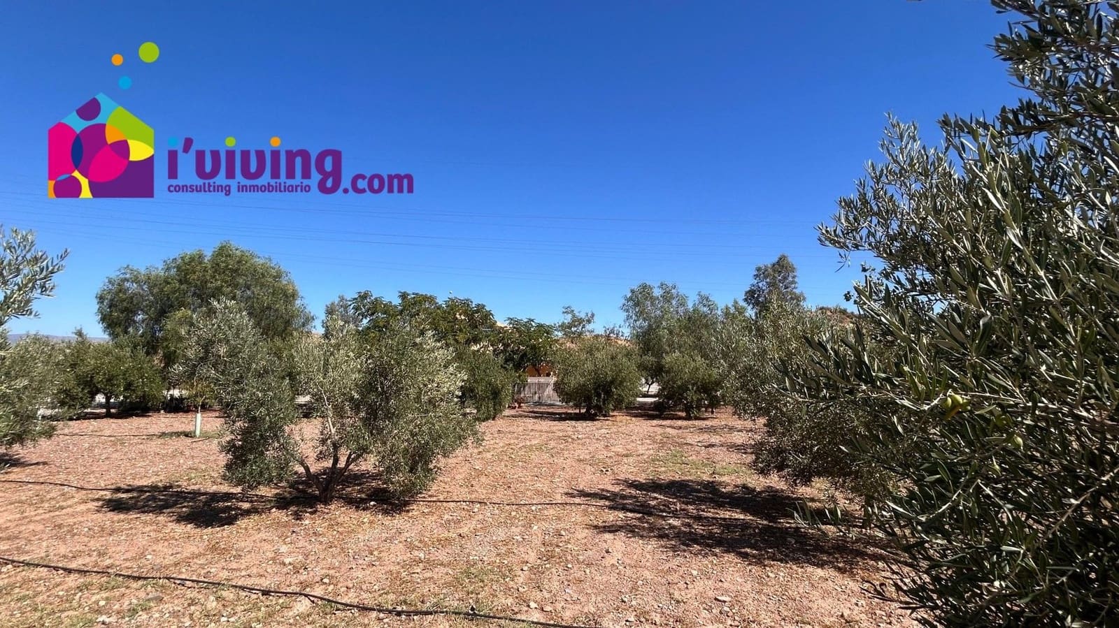 Chalet de 3 habitaciones en Albox en venta - 230.000 € (Ref: 9500549)