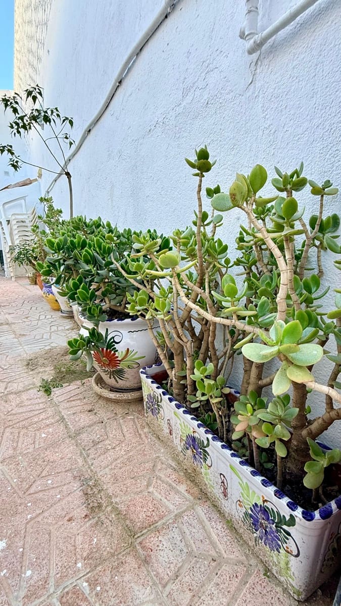 5 soveværelse Villa til salg i Albox - € 139.900 (Ref: 9535583)