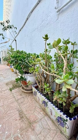 5 soveværelse Villa til salg i Albox - € 139.900 (Ref: 9535583)