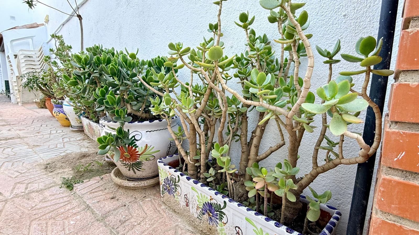 5 soveværelse Villa til salg i Albox - € 139.900 (Ref: 9535583)