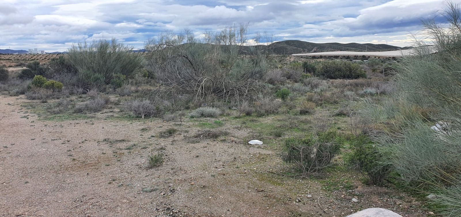 Finca/Casa di Campagna da affittare in Cantoria - 500 € (Rif: 9611144)