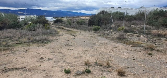 Finca/Casa di Campagna da affittare in Cantoria - 500 € (Rif: 9611144)