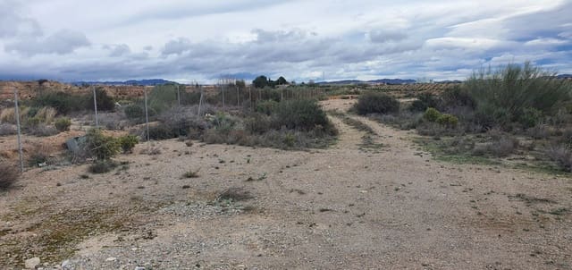 Finca/Casa di Campagna da affittare in Cantoria - 500 € (Rif: 9611144)