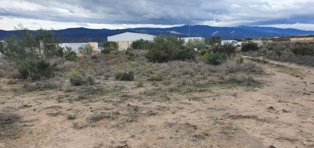 Finca/Casa di Campagna da affittare in Cantoria - 500 € (Rif: 9611144)