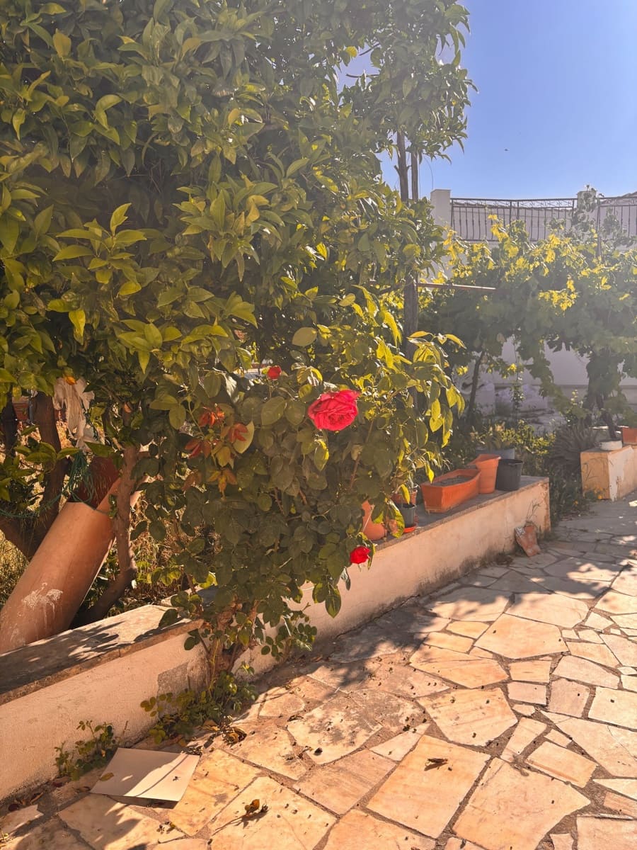 Piso de 3 habitaciones en Taberno en alquiler - 450 € (Ref: 9893771)