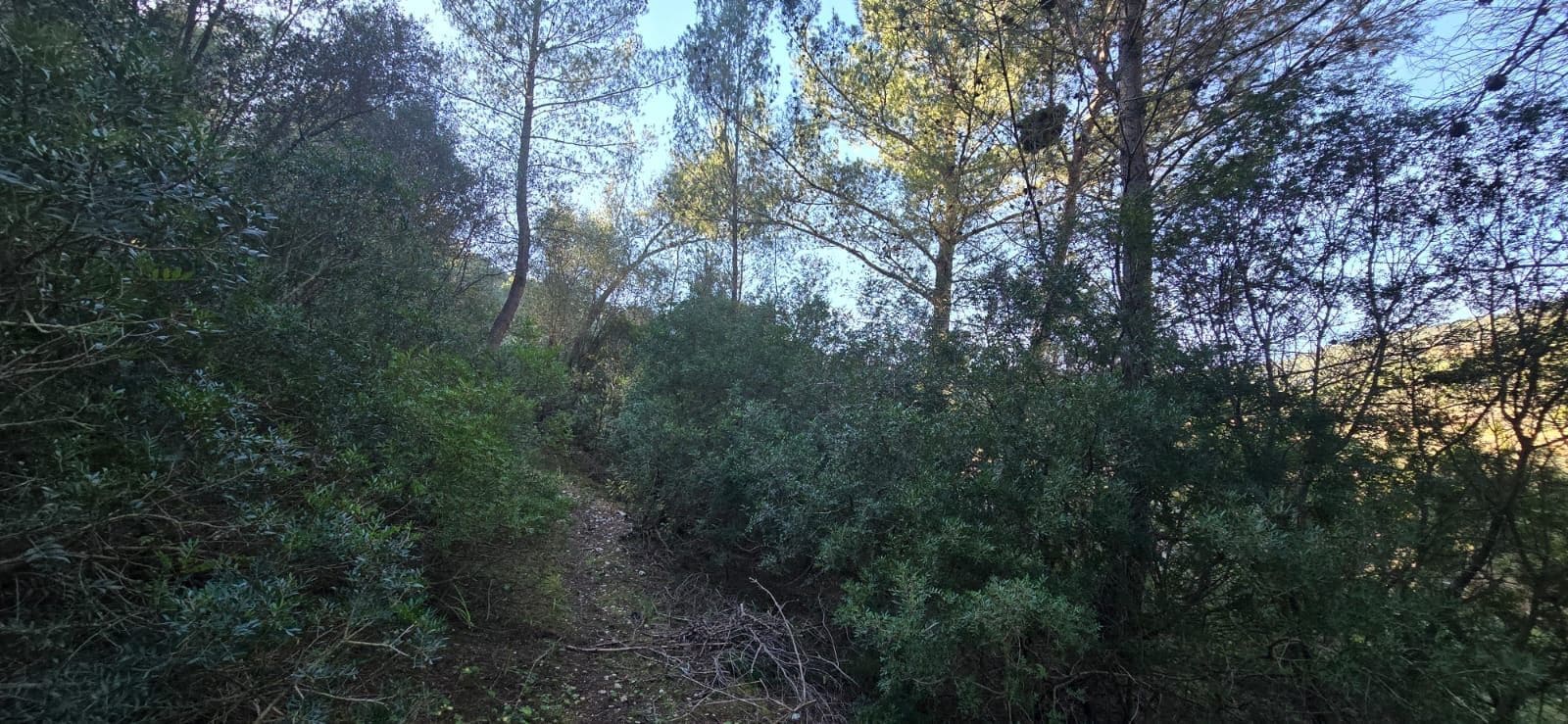 9 camera da letto Villa in vendita in Mancor de la Vall con piscina garage - 870.000 € (Rif: 10097577)