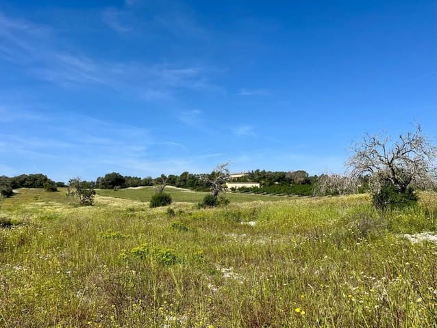 Grunde uden byggetilladelser til salg i Petra - € 485.000 (Ref: 10162122)