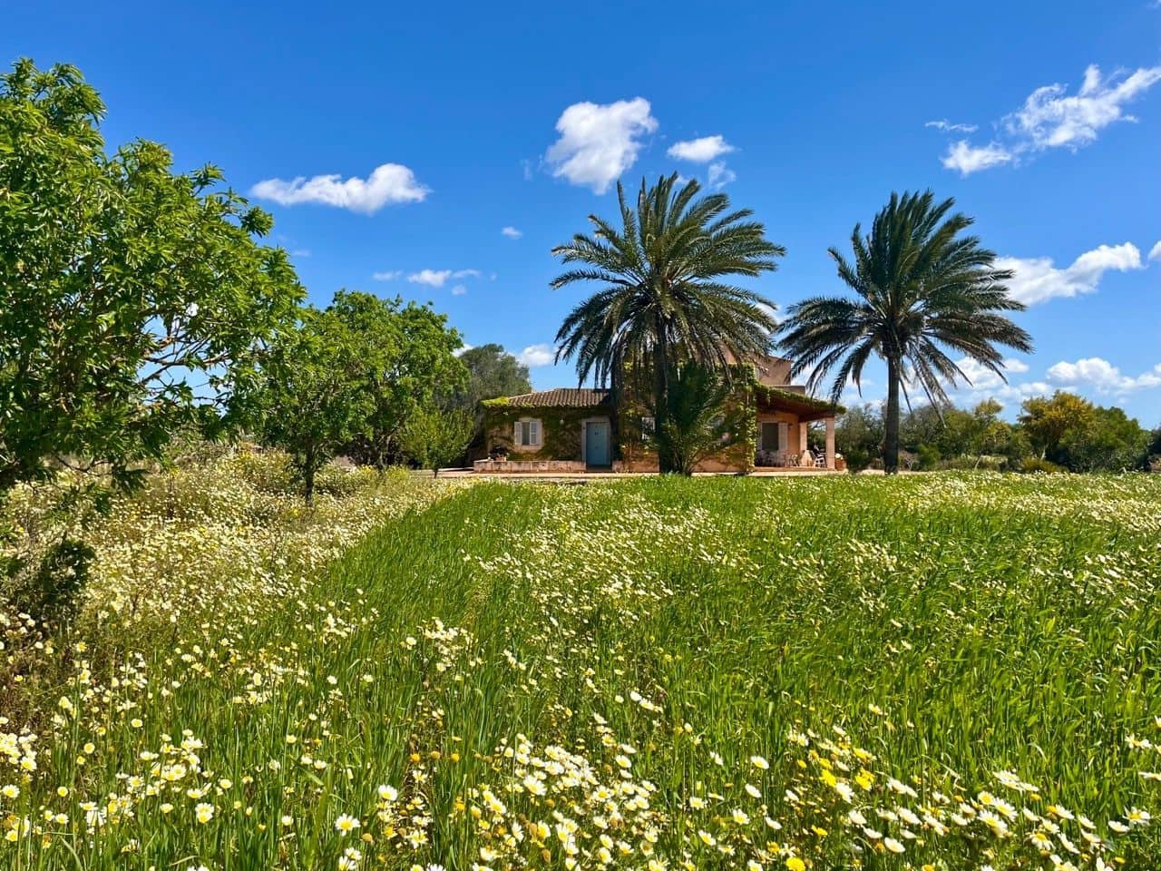 5 Zimmer Villa zu verkaufen in Campos mit Pool Garage - 1.950.000 € (Ref: 10184213)