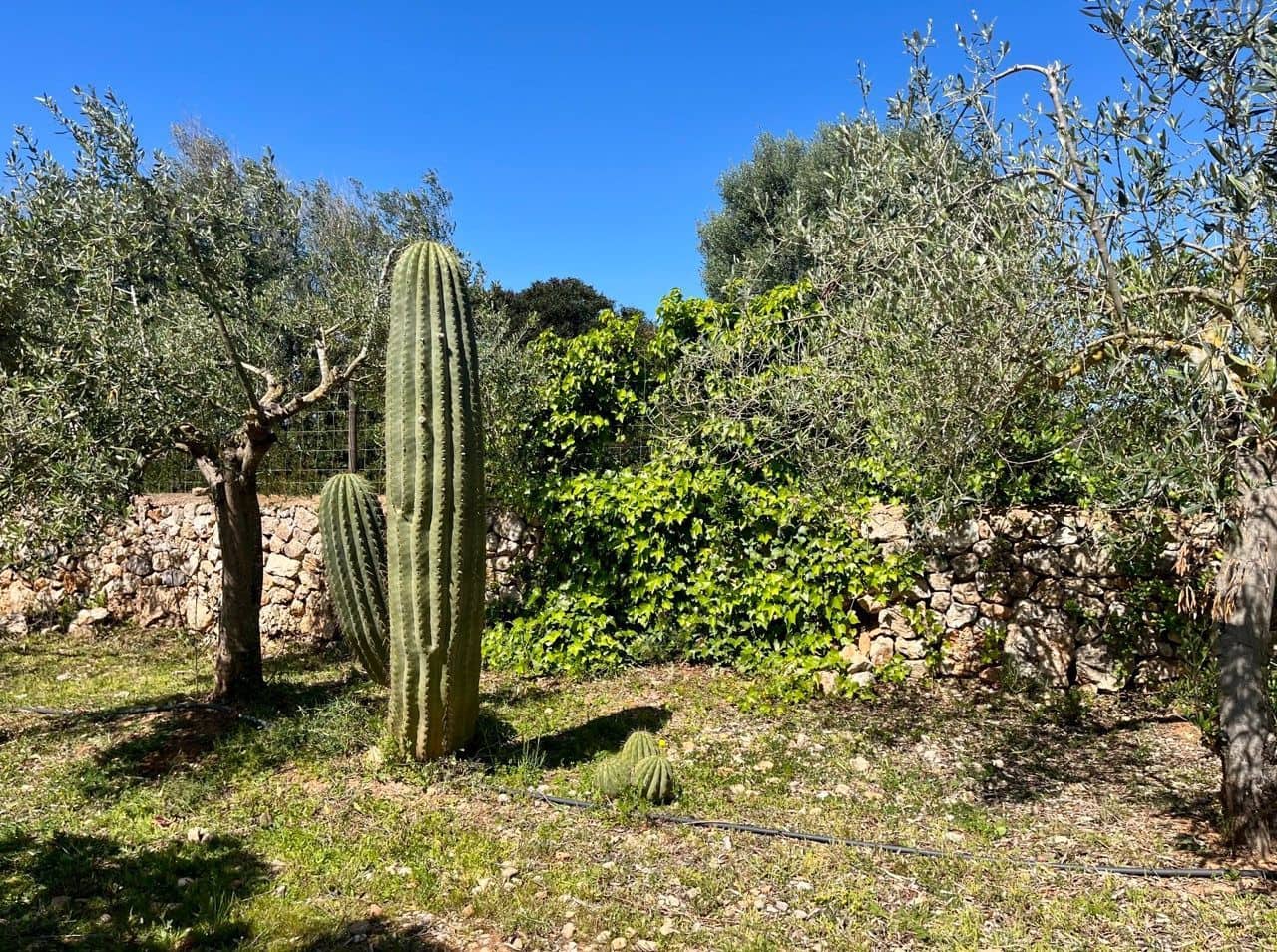 5 Zimmer Villa zu verkaufen in Campos mit Pool Garage - 1.950.000 € (Ref: 10184213)