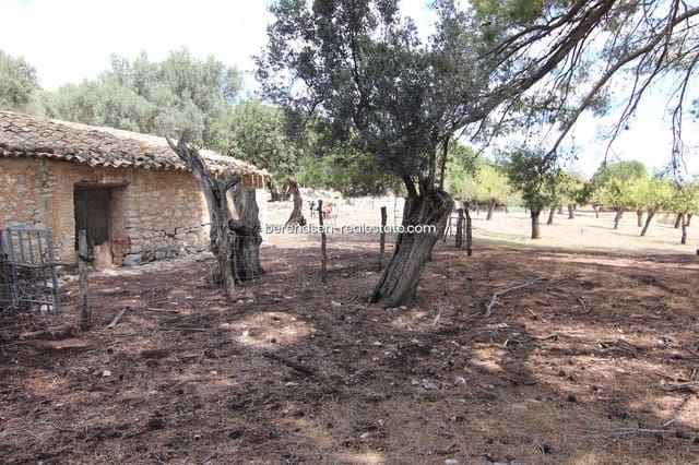 10 soveværelse Villa til salg i Binissalem med swimmingpool garage - € 4.500.000 (Ref: 4744972)