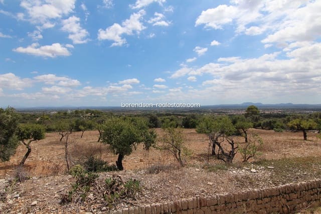 10 soveværelse Villa til salg i Binissalem med swimmingpool garage - € 4.500.000 (Ref: 4744972)