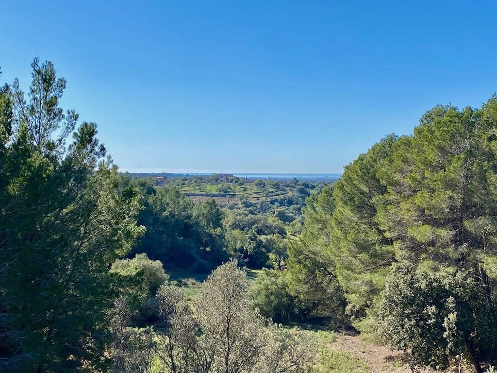 6 quarto Quinta/Casa Rural para venda em Santa Maria del Cami com piscina garagem - 2 995 000 € (Ref: 4744987)