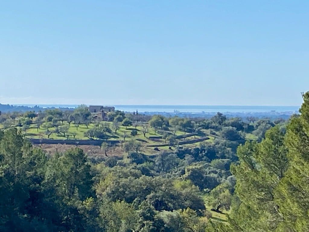 6 quarto Quinta/Casa Rural para venda em Santa Maria del Cami com piscina garagem - 2 995 000 € (Ref: 4744987)