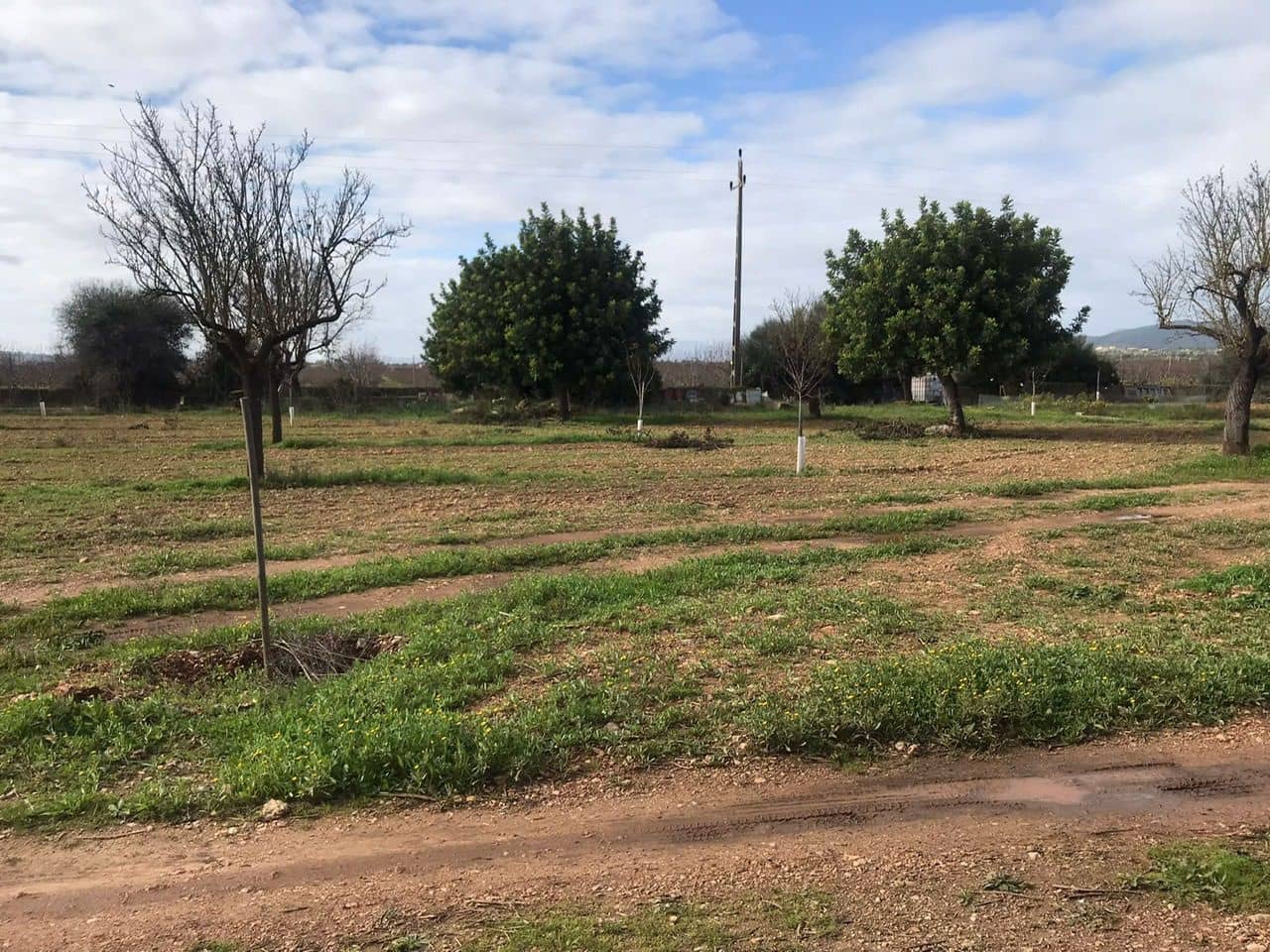 3 soveværelse Villa til salg i Consell - € 1.080.000 (Ref: 7630283)