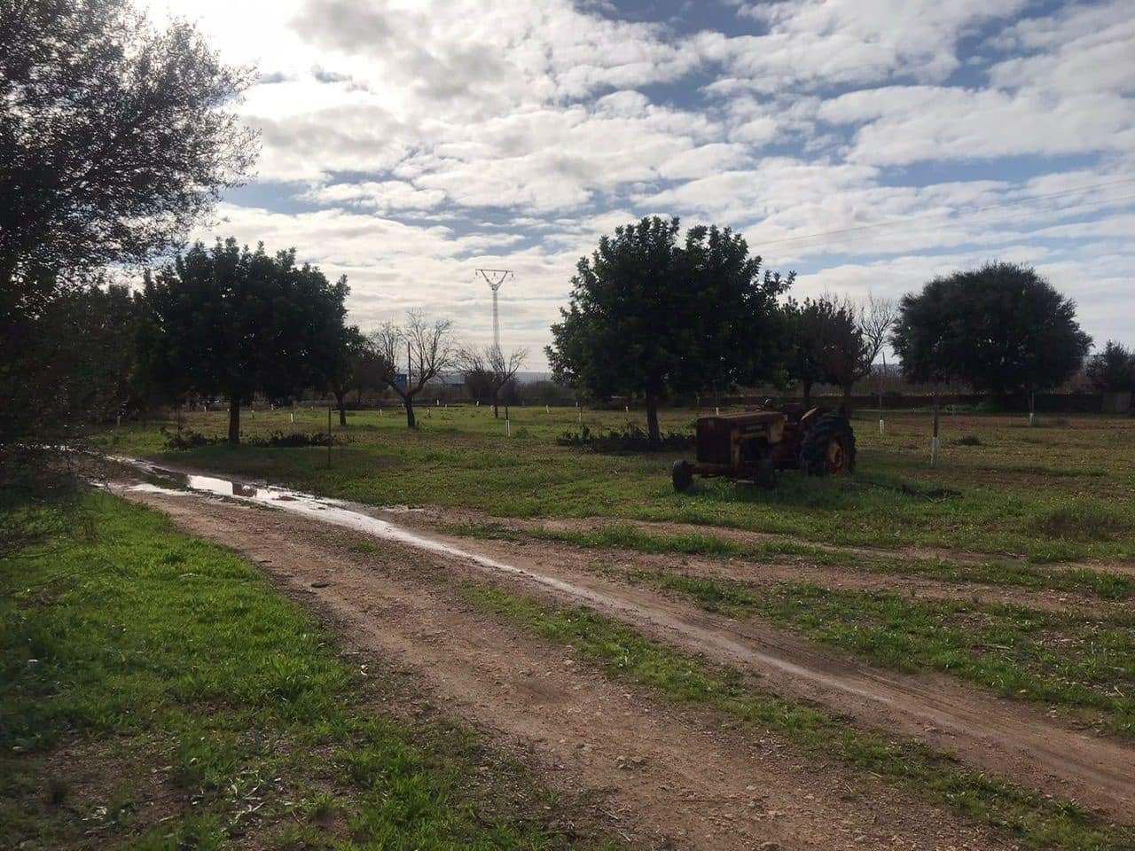 3 soveværelse Villa til salg i Consell - € 1.080.000 (Ref: 7630283)