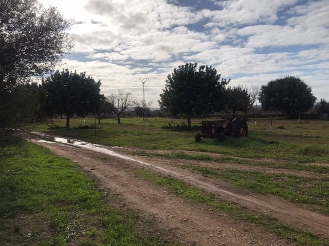 3 soverom Villa til salgs i Consell - € 1 080 000 (Ref: 7630283)