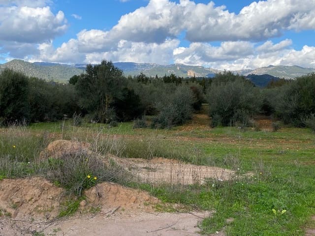 3 soverom Villa til salgs i Consell - € 1 080 000 (Ref: 7630283)