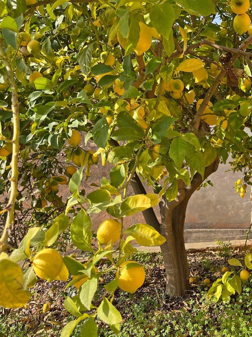 5 soveværelse Villa til salg i Portol med swimmingpool garage - € 1.350.000 (Ref: 7630296)