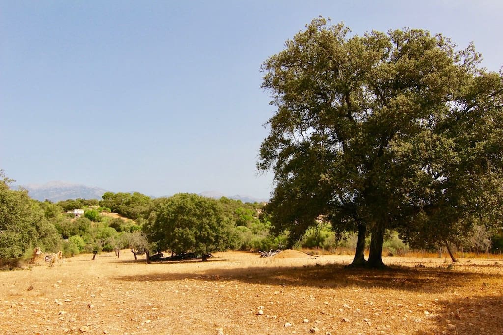 Terreno Non Edificato in vendita in Costitx - 330.000 € (Rif: 7630317)