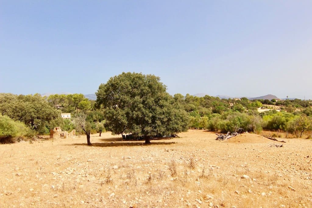 Terreno Non Edificato in vendita in Costitx - 330.000 € (Rif: 7630317)