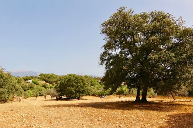 Ubebygd land til salgs i Costitx - € 330 000 (Ref: 7630317)