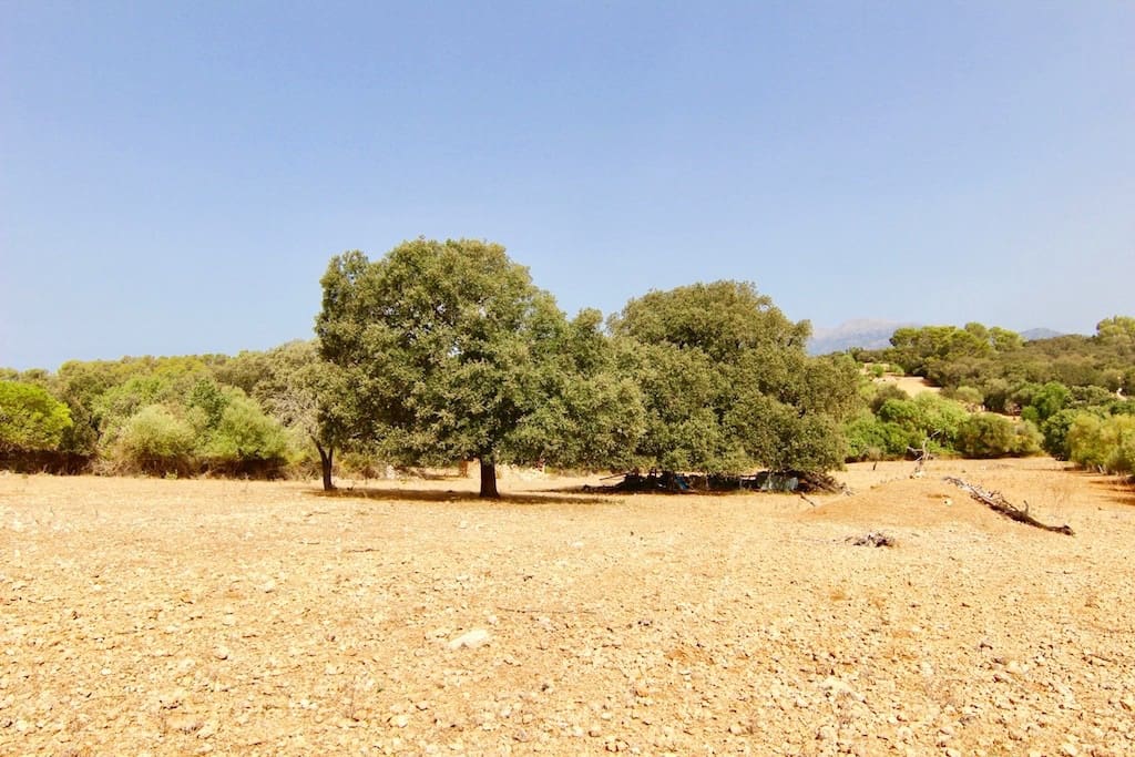 Terreno Non Edificato in vendita in Costitx - 330.000 € (Rif: 7630317)