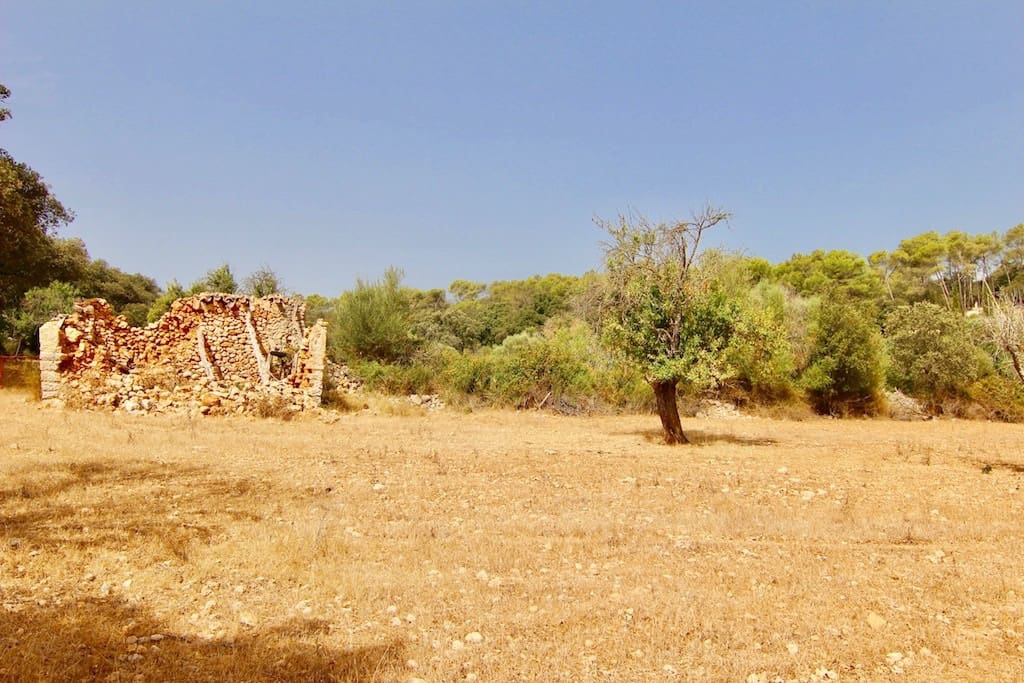 Terreno Non Edificato in vendita in Costitx - 330.000 € (Rif: 7630317)