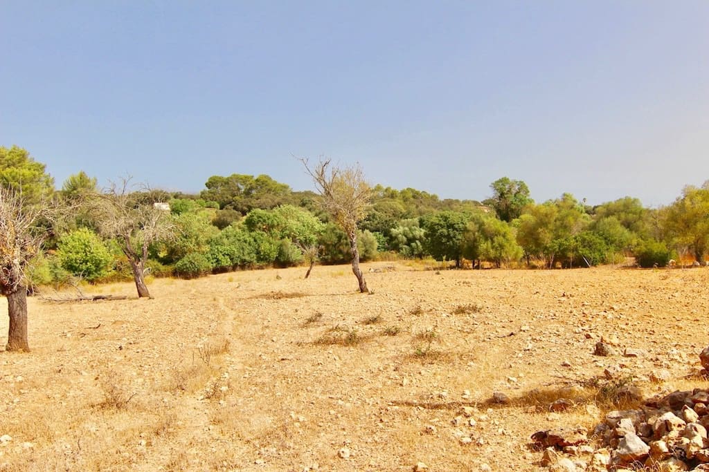 Terreno Non Edificato in vendita in Costitx - 330.000 € (Rif: 7630317)