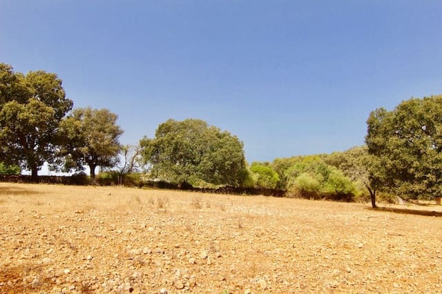 Ubebygd land til salgs i Costitx - € 330 000 (Ref: 7630317)