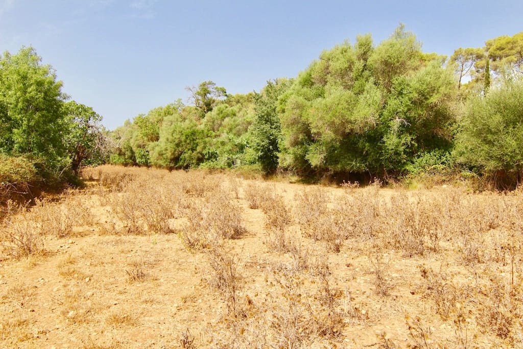 Terreno Non Edificato in vendita in Costitx - 330.000 € (Rif: 7630317)