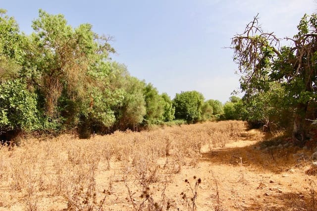 Ubebygd land til salgs i Costitx - € 330 000 (Ref: 7630317)