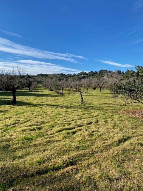 Grunde uden byggetilladelser til salg i Campanet - € 500.000 (Ref: 7630323)