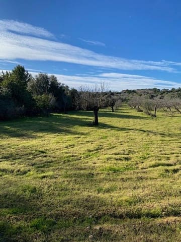 Grunde uden byggetilladelser til salg i Campanet - € 500.000 (Ref: 7630323)