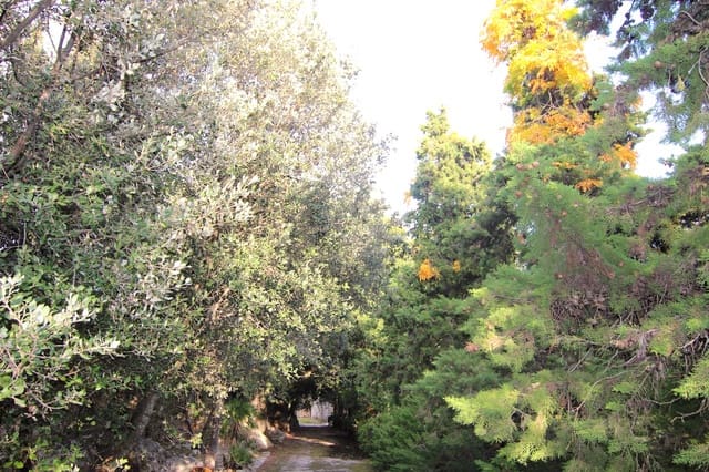 8 soveværelse Villa til salg i Escorca - € 6.500.000 (Ref: 7630332)